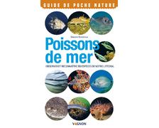 VAGNON Poissons de mer