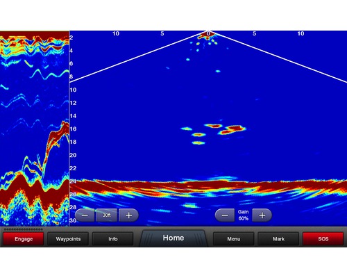 GARMIN Sonde Panoptix PS30 Down