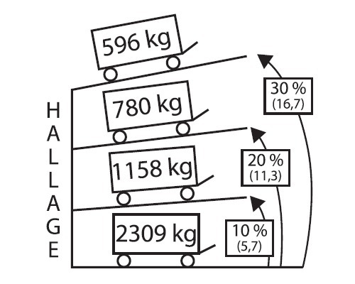 GOLIATH Treuil manuel 596 kg