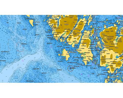 C-MAP 4D Max+ Local