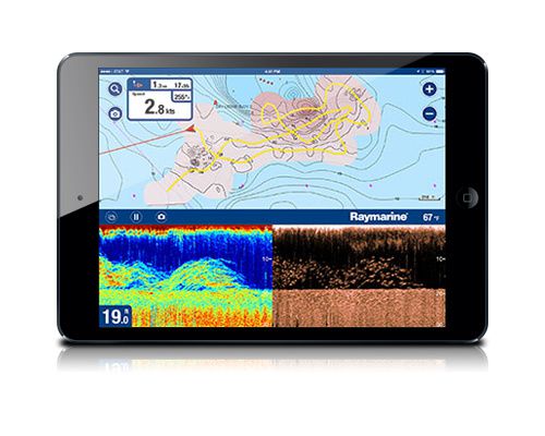 RAYMARINE Dragonfly 7 Pro sonde TA avec carte Navionics EU