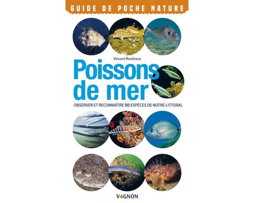 VAGNON Poissons de mer