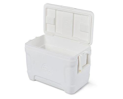 Igloo marine contour 25 qt sale