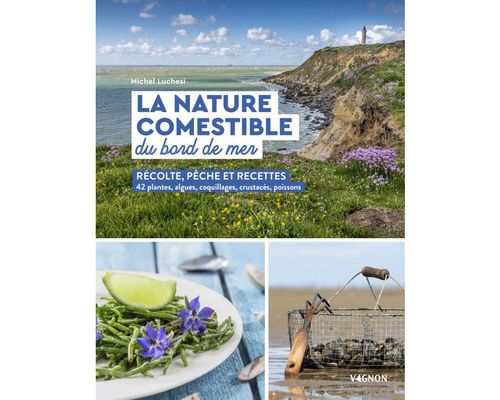 VAGNON La nature comestible du bord de mer