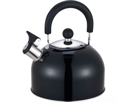 Bouilloire inox à sifflet métallisée noir 2,5 L