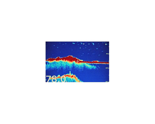 RAYMARINE Sonde trav. bronze 50/200 kHz 1kW - B260