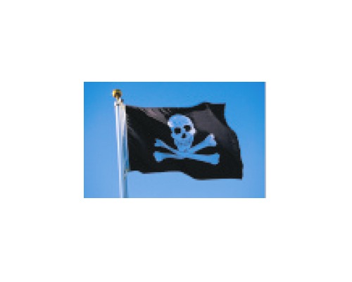 Volant de Roue de Pirate Marine Navires de Pirate Volant de Bateau pour  Bateau Décoration de Roue de Bateau Volant Nautique sur Un Bateau (diamètre  12