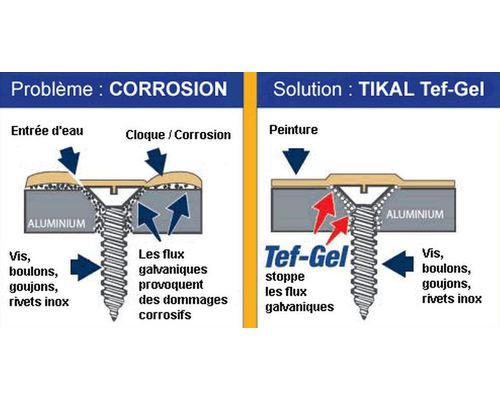 TEF-GEL Seringue 28g